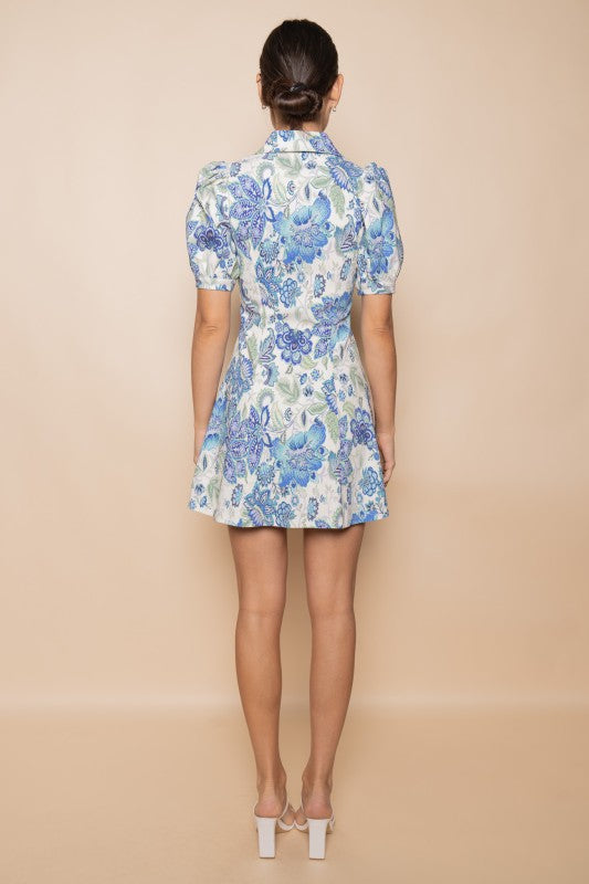 Fore Puff Sleeve Collar a Line Mini Dress