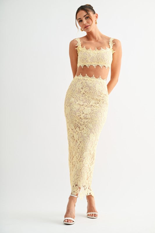 Evenuel  Floral Lace Two-piece Skirt Set